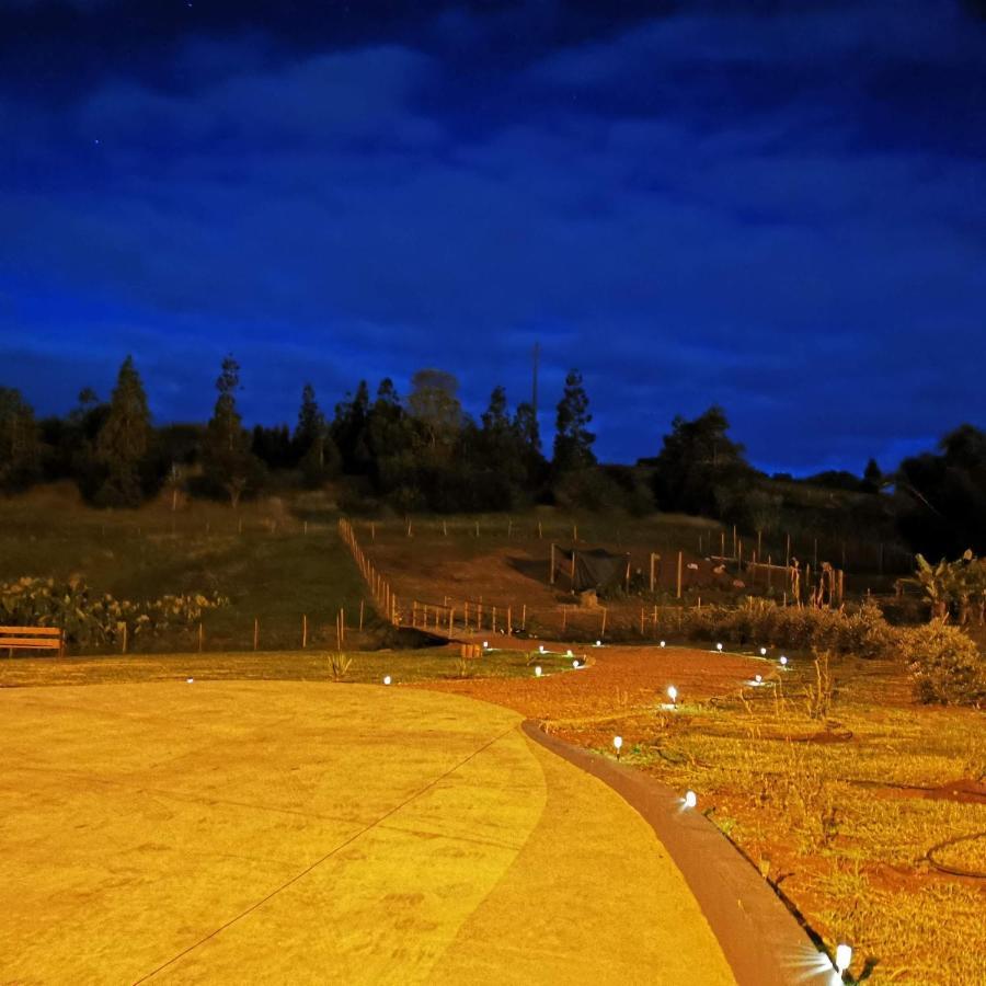 Вілла Quinta De Sao Jose Sao Pedro  Екстер'єр фото